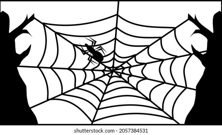 Spider on the web with two trees