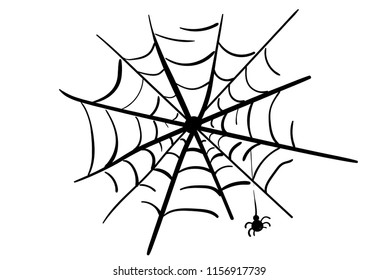 A spider on a web. Vector black and white illustration. Sketch on white background