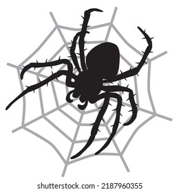 Spider on the web vector cartoon illustration