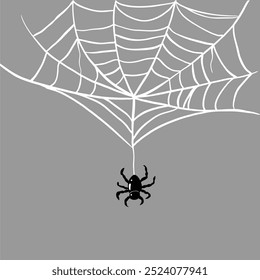 Spider on web vector element