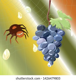 spider on the web wants to eat grapes