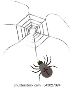 Spider on the web on the white background vector illustration