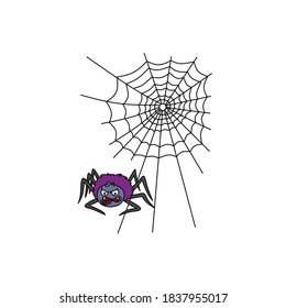 spider on a white background