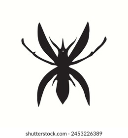 spider on a white background