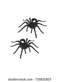 Spider on a white background