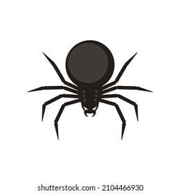 Spider on a white background. Black silhouette of a scary spider.