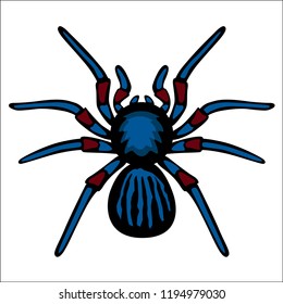 Spider on white background. Isolated illustration for sticker, print. Spider for tattoo. Cartoon illustration of tarantula or ghost, spook, horror.  Image for Halloween. Wildlife. Vector. 