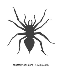 spider on a white background vector art