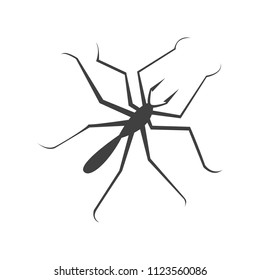 spider on a white background vector art