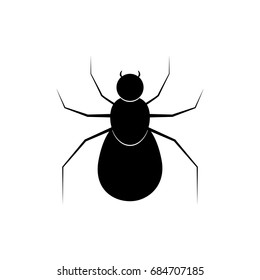 spider on white background vector illustration