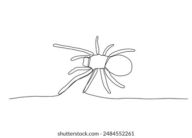 Spider one line illustration. Vector continuous outline isolated sketch