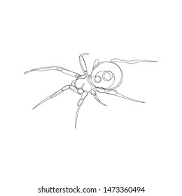 spider. one line. vector image of an insect. poisonous insect