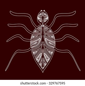 Spider with ornaments in ethnic style, vector illustration.