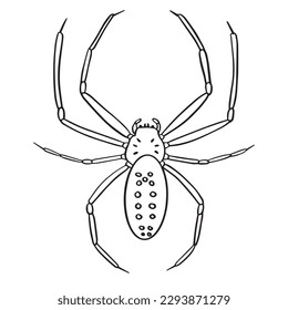 Spider outline art ,good for graphic design resources, posters, banners, templates, prints, coloring books and more.