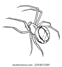 Spider outline art ,good for graphic design resources, posters, banners, templates, prints, coloring books and more.