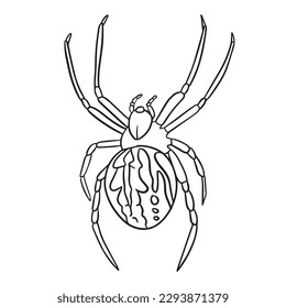 Spider outline art ,good for graphic design resources, posters, banners, templates, prints, coloring books and more.