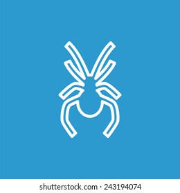 spider outline icon, isolated, white on the blue background. Exclusive Symbols 