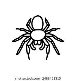 Spider Outline Icon, Vector illustration