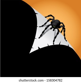 Spider Page Curl. EPS 8 vector, grouped for easy editing. No open shapes or paths. 