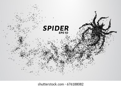 Spider of particles. The spider consists of small circles