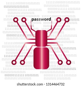Spider with password and binary code background