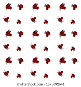 spider pattern against a white background