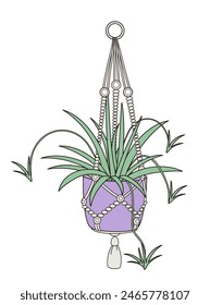 spider plant in a hanging pot in boho style