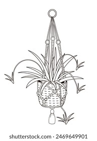 planta de araña en una olla colgante en estilo boho