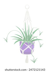 spider plant in a hanging pot in boho style
