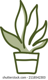 Planta araña, ilustración, vector sobre fondo blanco.