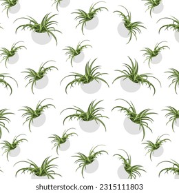 Spider Plant Pattern, Seamless Pattern, Gift Paper, Wall Art, Spider Plant Pattern Illustration, SSTKabstract