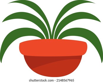 Spider plant in pot, illustration, vector on a white background.