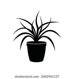 Spider plant with pot silhouette on white background.
. Beautiful tropical plant tree vector icon.