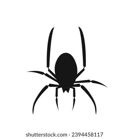 spider png on a transparent background, the spider goes down