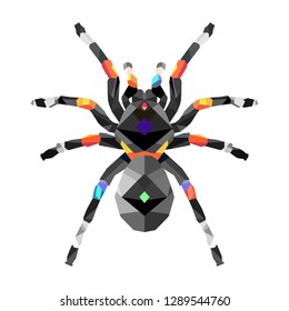 spider polygon art