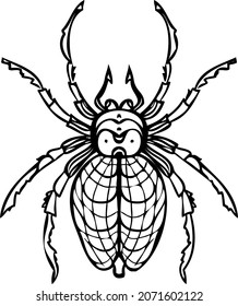 Spider realistic line vector illustrations. Hand drawing style