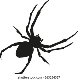 Spider realistic silhouette