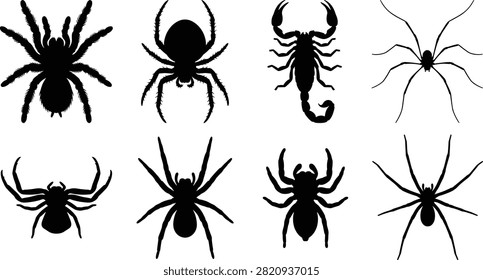 Spider and scorpion silhouette icon set featuring tarantula daddy longlegs crab spider and desert scorpion vector silhouettesSpider and scorpion silhouette icon set featuring tarantula daddy longlegs crab spider and desert scorpion vector silhouettes