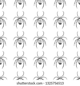 spider seamless pattern isolated on white background
