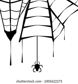 A spider is seen hanging on a cobweb.
