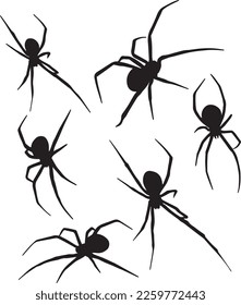 Spider set icon, SVG Vector