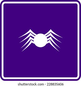 spider sign