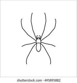 Spider sign line symbol icon on background