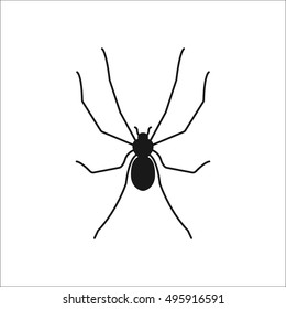 Spider sign silhouette symbol icon on background
