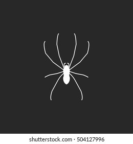 Spider sign silhouette symbol icon on background