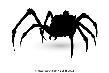 Spider Silhouette