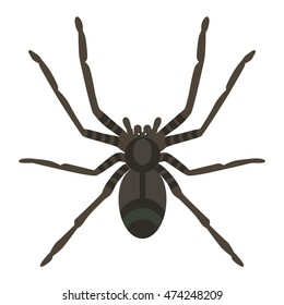 Aranha silhueta aracnídeo medo gráfico e aranha silhueta plana assustador, design venenoso animal. Preto silhueta aranha natureza fobia inseto perigo silhueta ícone vetor.