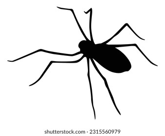 Spider silhouette. Black close-up insect, scary big spider isolated on white. Poisonous dangerous animal. Creepy wildlife bug