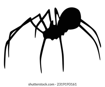 Spider silhouette. Black close-up insect, scary big spider isolated on white. Poisonous dangerous animal. Creepy wildlife bug