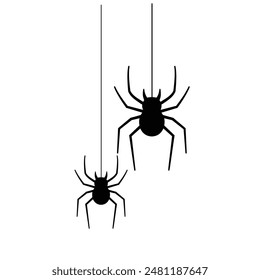 Spider silhouette Black closeup insect scary big spider.